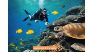 best island diving spots