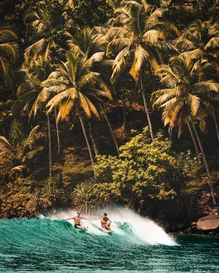 Best Island Surfing Spots