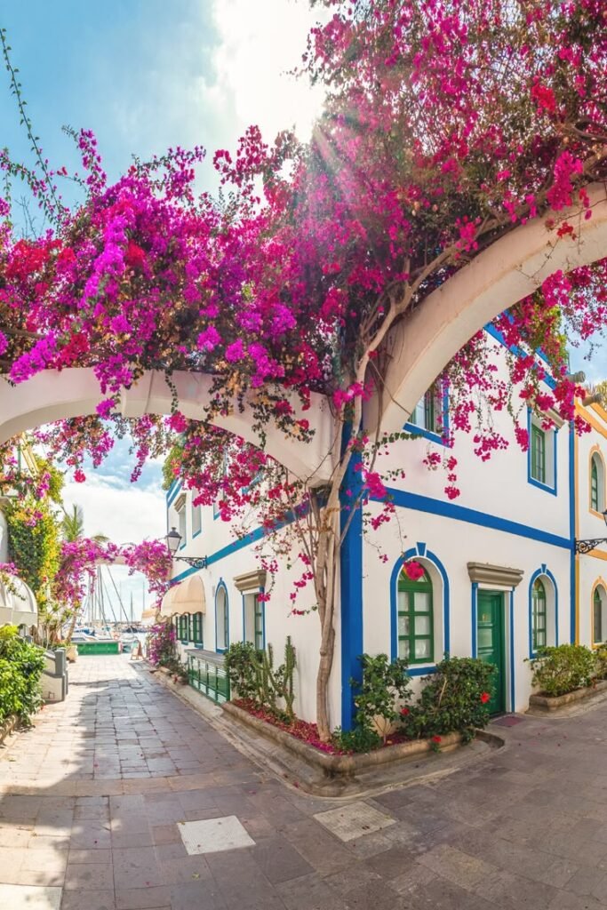 Which Canary Island is Hottest in November