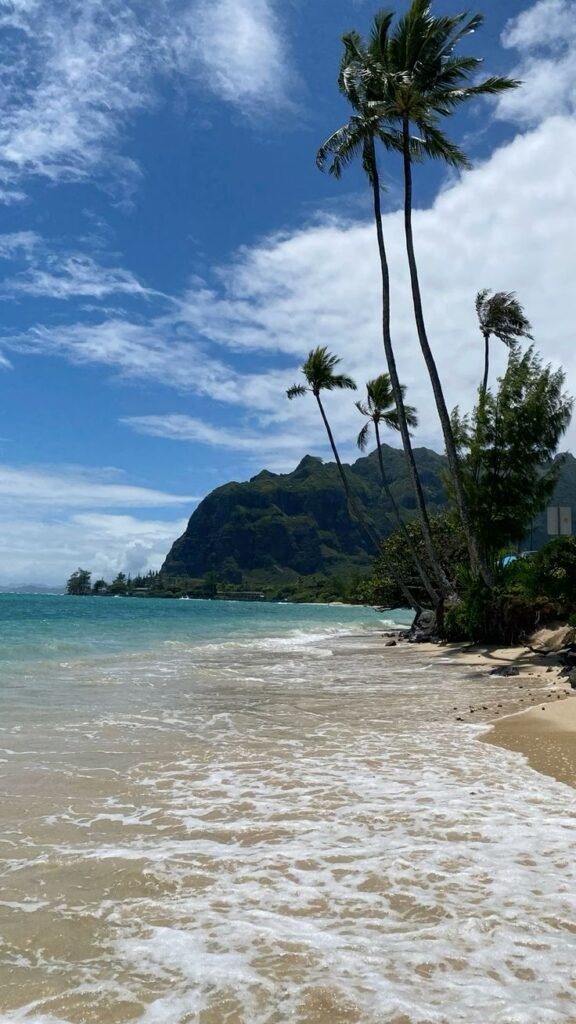 Oahu Beaches