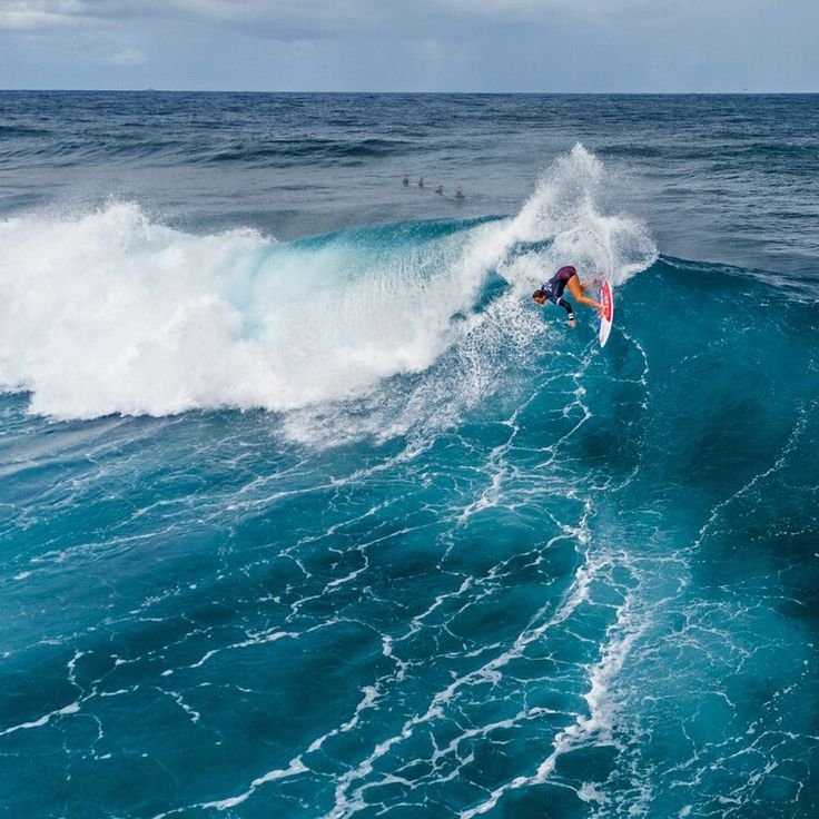 surf a tahiti